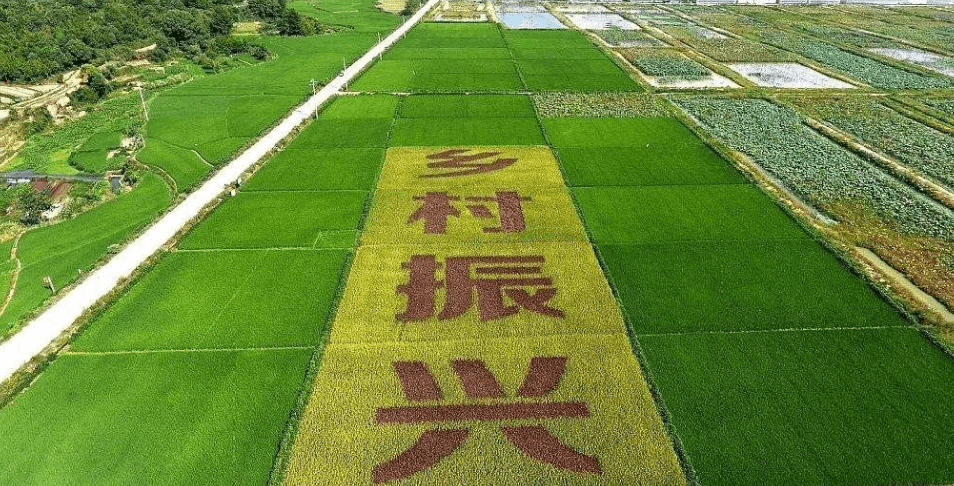 人民日報“鄉(xiāng)村振興計劃”為何看上他？_直播_行業(yè)_農(nóng)產(chǎn)品